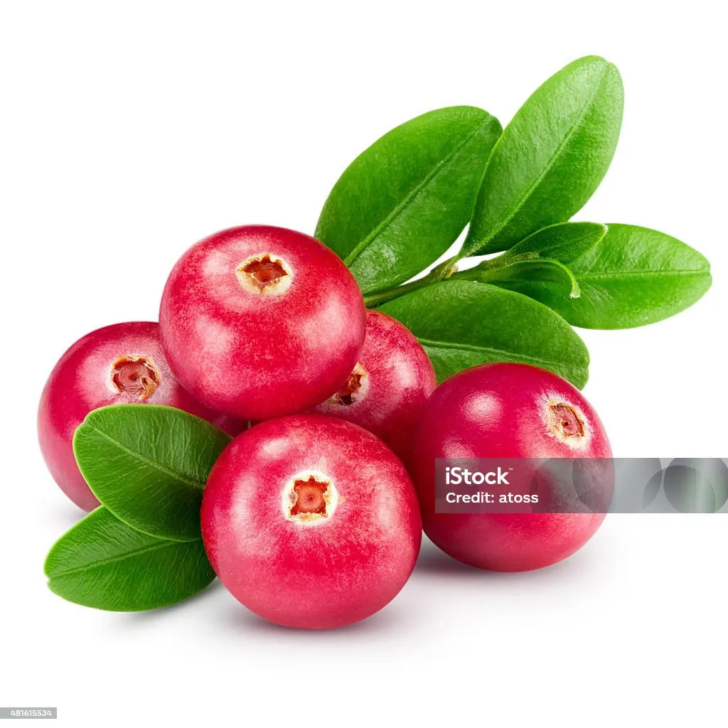 [SKU.ID-031111] Cranberry